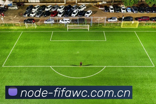 FIFA官方数据授权认证